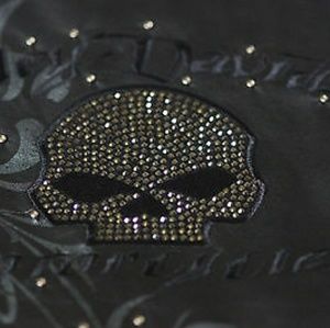 Harley Davidson jacket and chaps